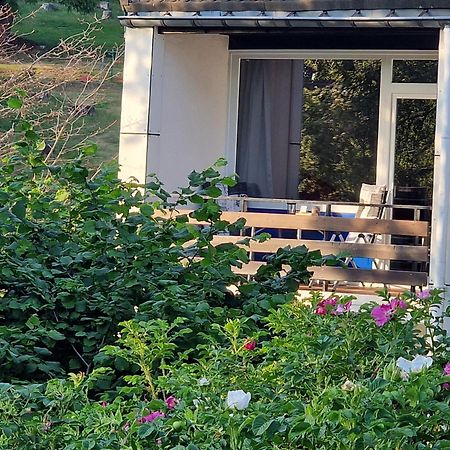 Gemuetliche Moderne Ferienwohnung Inkl. Wlan In St Andreasberg/Braunlange Sankt Andreasberg Exteriör bild