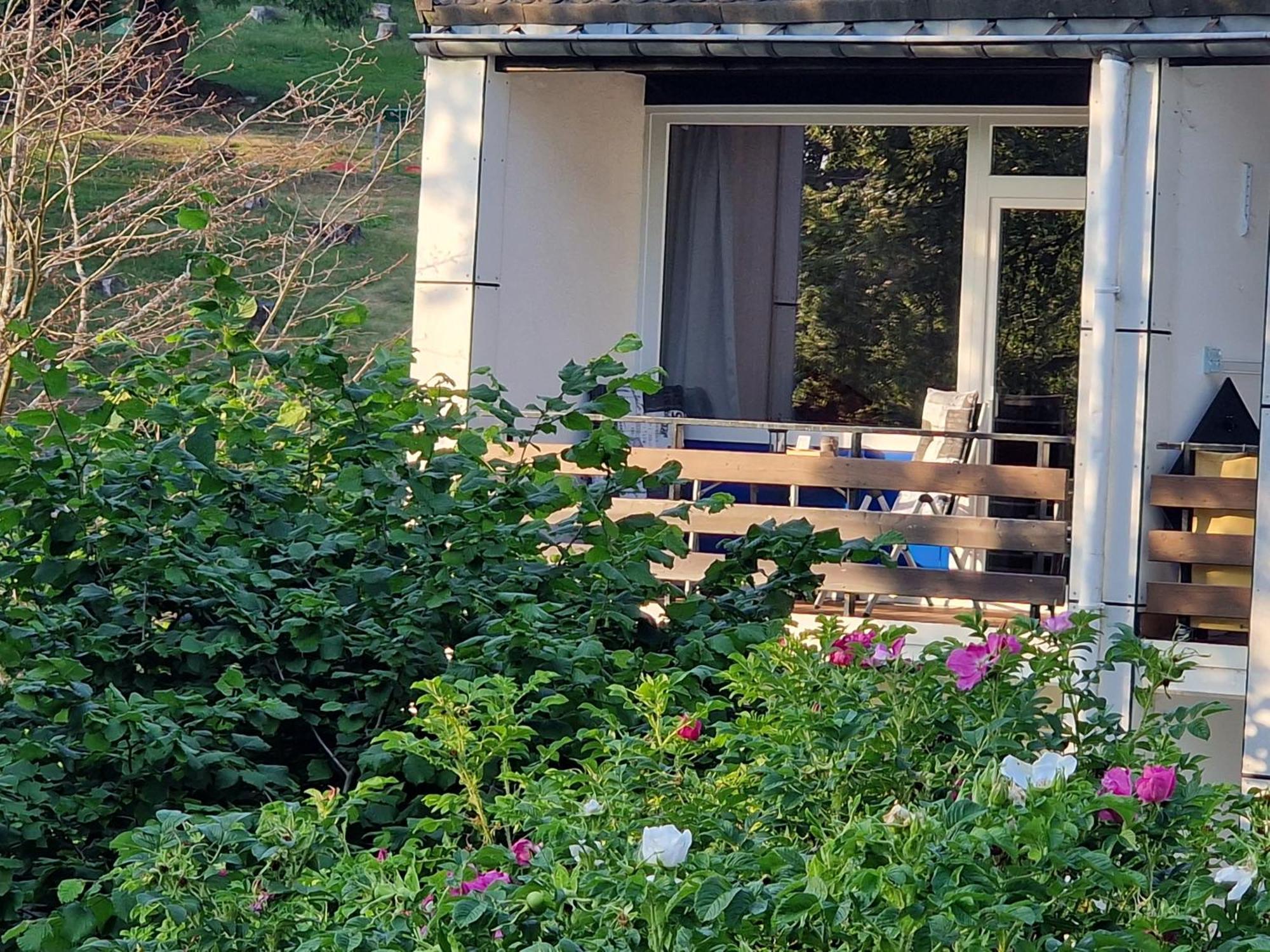 Gemuetliche Moderne Ferienwohnung Inkl. Wlan In St Andreasberg/Braunlange Sankt Andreasberg Exteriör bild