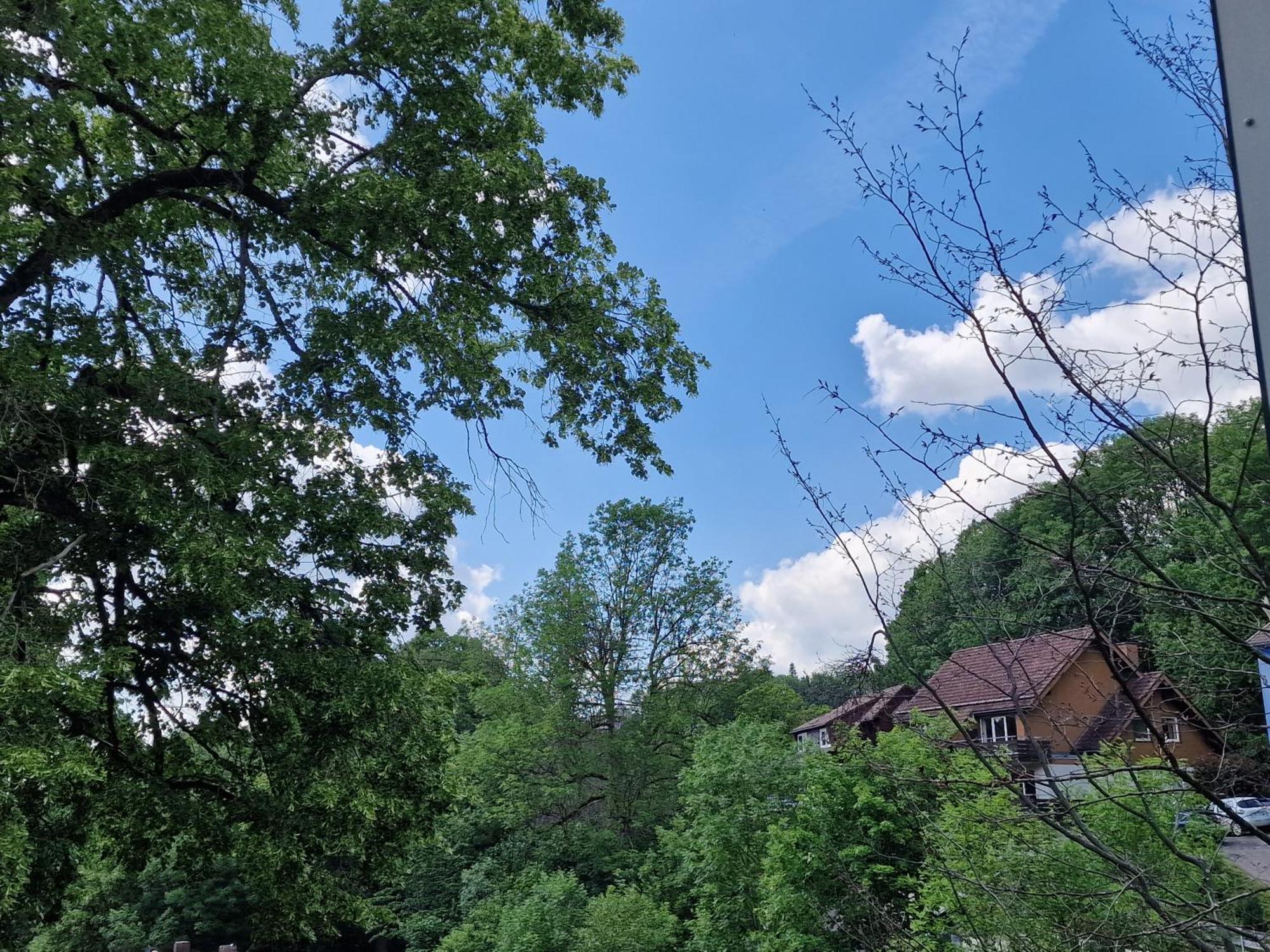 Gemuetliche Moderne Ferienwohnung Inkl. Wlan In St Andreasberg/Braunlange Sankt Andreasberg Exteriör bild